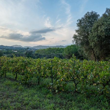 Casa Rural El Bruguer Vell Santa Eulalia de Ronsaná Esterno foto